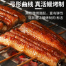 海皇湾鳗鱼 加热即食日式   好吃鳗鱼海鲜料理寿司 蒲烧鳗鱼 250g/条*2（2条装） 实拍图