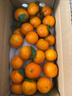 京觅 广西金秋砂糖橘净重4斤 单果30-35mm 精品果沙糖桔 源头直发包邮 实拍图