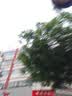 曲彤台式钟摆石英大摆钟客厅摆台座钟桌面静音钟表摆放式台钟时钟摆件 海军蓝-8寸 实拍图