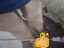 OEMG 工装裤男春秋夏季九分裤男宽松直筒日系潮牌休闲百搭束脚裤子男 卡其色常规 【高品质】 M [建议90-100斤] 实拍图