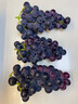 静羽云南夏黑蓝莓葡萄【顺丰】无籽提子新鲜现摘大颗粒孕妇时令水果 夏黑葡萄5斤【一级果礼盒装】 源头直发 实拍图