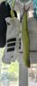 阿迪达斯（adidas）2025年男女RUNxADIZEROSock袜子 JD9557 M 实拍图