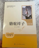 骆驼祥子+钢铁是怎样炼成的（升级版） 人教版名著阅读课程化丛书 七年级下套装（共2册）与25春新版初中语文教材配套使用（含微课，从教学角度讲解名著；含阅读笔记本，提供测评指导帮助提升整本书阅读能力） 实拍图