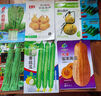 干枝梅特长豆角种子高产早熟抗病长豆角种子四季爬藤豇豆种籽易种 【摘不败】长缸豆种子约100粒2包 实拍图