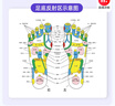 启拓者指压板超慢跑脚底按摩器跑步垫疏通经络足底按摩脚垫成人原地慢跑 加大加厚55cm-紫色慢跑垫磁疗款 3分钟踩热脚底踩出健康 实拍图