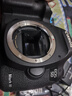 Canon佳能5D4 5D3 5D2 6D2 7D2 5DIV 6D全画幅单反相机二手 佳能5D Mark III 机身/5d3 99新 实拍图