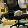 南皇电脑椅子人体工学椅护腰久坐办公室职员会议写字椅靠背升降转座椅 分离升降白-收纳扶手-4级气杆 120-155度(含) 可旋转可升降扶手 -双背升降腰托 实拍图
