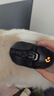 罗技（G） G903无线鼠标游戏电竞充电 RGB灯光机械宏编程fps吃鸡英雄联盟送男生男友礼物 G903+鼠标收纳盒 实拍图