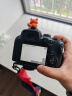 佳能r10 微单相机 轻量小型 APS-C画幅 eos r10 高速连拍 踏青 打鸟vlog数码照相机 R10 18-150+RF50 1.8【双镜头套】 套餐四【拍套四0元升级套餐五 免费升级不加价 实拍图