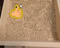 喵梵思混合猫砂豆腐膨润土混合猫砂低尘吸水猫砂猫厕所豆腐砂2.5kg/包 混合猫砂2.5kg（1包） 实拍图