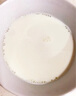 佳乐（kara） 椰浆进口椰汁小包装盒装饮料材料浓缩椰奶冻奶茶家用椰浆饭 65g*1盒 实拍图