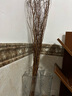 雪柳干枝水插花水培鲜花室内遇水开花客厅阳台观花绿植雪柳花鲜枝水养年宵花卉植物 雪柳10支80厘米高 不含瓶 实拍图