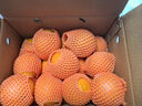 京地达橙子正宗江西赣南脐橙子当季水果净重9斤单果180g+源头直发包邮 实拍图