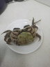 陆龙即食生醉蟹酱河蟹毛蟹 大规格全母蟹生腌螃蟹 宁波上海风味醉河蟹 [经典款/尝鲜]600g大醉蟹约3只 实拍图