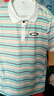 妄潮大码POLO衫短袖t恤男夏季条纹带领翻领时尚潮牌冰丝休闲半袖T 【高质量跑量款】坊R13浅绿 3XL 建议体重145-155斤可穿 实拍图