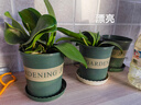 奥美优加仑盆花盆树脂透气防烂根塑料种植盆栽盆带托盘一体家用加厚 实拍图
