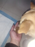 比瑞吉狗粮小型犬成犬粮优选系列三文鱼油藻油柔顺毛发1.5kg*3包 实拍图