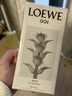 罗意威（LOEWE）事后清晨001男士浓香水100ml木质花香调生日礼物 实拍图