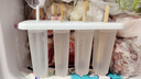 雪糕模具家用自制老冰棍冰棒冰淇淋棒冰冰糕速冻器DIY制冰盒 一套模具【不送木棒】 实拍图