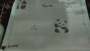 博洋宝贝（Beyond Kids）儿童冰丝席单件套儿童夏凉席幼儿园宿舍 竹竹小熊猫 63*110cm 实拍图
