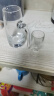 CLITON白酒杯分酒器套装一口杯高脚茅台小酒杯带把分酒壶烈酒杯6壶8杯 实拍图