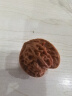 文玩桃核原皮原色官帽虎头四座楼狮子头文玩核桃把玩摆件 【机刷】麒麟小官帽32-36n 实拍图