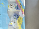 Freego5条儿童彩色纯棉平角一次性内裤EO灭菌免洗日抛旅游出行男童S码 实拍图