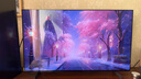 LG电视C4系列 42英寸OLED42C4PCA 4K超高清全面屏专业旗舰电竞游戏电视 120Hz高刷 适配PS5 以旧换新 实拍图