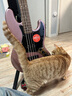 FENDER芬达吉他Affinity BASS J 4弦入门初学电贝司月桂木指板 紫红色 实拍图