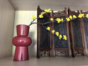京东鲜花轻奢陶瓷花瓶中国红色系高级感订婚结婚摆件干花鲜花水培插花瓶 实拍图