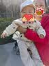babylove婴儿上衣春秋纯棉男女宝宝外搭开衫休闲夹克外出百搭外套秋装 实拍图