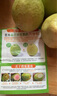 奶油白心红心芭乐 新鲜软糯低卡低热量轻食首先水果 2斤带箱（红心）单果100g起 实拍图