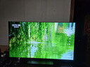 LG电视C4系列  55英寸 OLED55C4PCA 4K超高清全面屏专业智能游戏观影电视 120HZ高刷新 以旧换新 实拍图