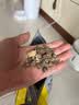 醇粹（Purich）黑标无谷鸡肉冻干猫粮深海鱼猫粮黑标鲜肉猫粮高肉全价成猫幼猫粮 【美味双拼】鸡肉生骨肉1.5kg 1包 实拍图