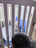 小虎泰戈树脂狗围栏室内宠物围栏狗栅栏自由拼接阳台小型犬泰迪博美狗笼子 【大门标准款】全白色-高度65cm 长103*宽70cm 实拍图