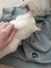 驭瑛撸猫围裙专用衣服抱猫服猫咪剪指甲固定包神器围兜防毛罩衣不粘毛 轻薄-撸猫围裙(带洞) 实拍图