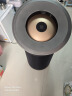 戴森（DYSON）DYSON BP03空气净化器 大面积净化异味和过敏原 滤除花粉 宠物毛发 医护级 宠护认证 镍蓝色 实拍图