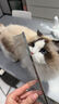 克莉斯汀森（Chris Christensen）美国进口宠物排梳美容猫毛梳狗梳开结造型梳浮毛 【000经典款】7.5英寸排梳粗加细 实拍图