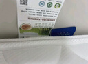 埃迪·蒙托高密度椰棕 硬榻榻米床垫 高箱床垫 黄麻棕榈床垫 折叠定制做拆洗 针织面料8CM【含2cm乳胶】 1.5*2.0米 实拍图
