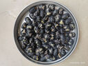 春江月香酥黑豆即食黑豆原味脆熟黑豆无油干炒下酒菜坚果炒货休闲零食 【健康有机黑豆】净重308g*1罐 实拍图