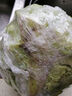 高原卷心菜（青甘蓝)800g 实拍图