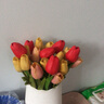 吕姆克郁金香假花仿真花花束摆件茶几桌面装饰娟花熟料花红色10支6316 实拍图