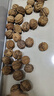 云南今年新货野生老树核桃纸皮薄皮孕妇黑桃薄壳干黑桃零食无漂 野生古树大山里薄皮核桃4斤-稀有 实拍图