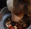 BOTH狗粮 全价低温烘焙犬粮全期鲜鸭肉梨配方（泪痕管理）6.8kg*2 实拍图