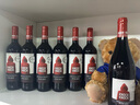 奥兰小红帽果香型西拉干红葡萄酒(SF135)750ml*6 进口红酒整箱 实拍图