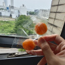 草木方金桔干250g 【精选大果】金桔干蜜饯果脯果干 办公室休闲零食 实拍图