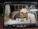 Apple苹果平板电脑 ipadPro2020/2021 11寸12.9寸 2代 四代 二手平板电脑 24款iPad Pro 11寸准新 256G WIFI版 99成新 实拍图
