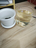 南山先生 小白茶杯办公室马克杯过滤泡茶杯带盖玻璃杯大容量水杯 小白茶杯-线条 实拍图