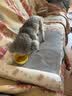 多可特狗窝凉席夏季狗窝猫垫子猫窝狗垫子藤编猫咪窝地垫宠物床宠物冰垫 凉席款,70*50CM 实拍图