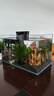 西游水族鱼缸水族箱客厅小型迷你桌面免换水生态造景小金鱼缸热弯超白玻璃 长50*宽26*高30-云影群峰款造景全套 实拍图